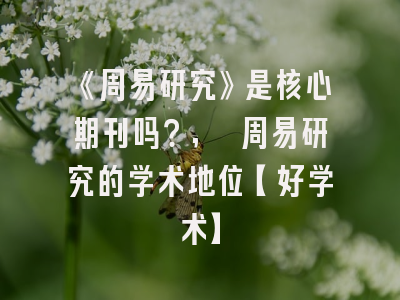 《周易研究》是核心期刊吗？, 周易研究的学术地位【好学术】