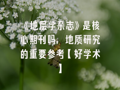《地层学杂志》是核心期刊吗，地质研究的重要参考【好学术】