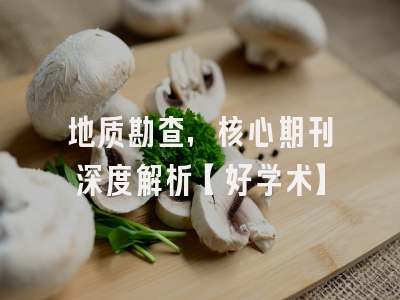 地质勘查，核心期刊深度解析【好学术】