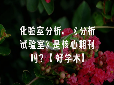 化验室分析，《分析试验室》是核心期刊吗？【好学术】