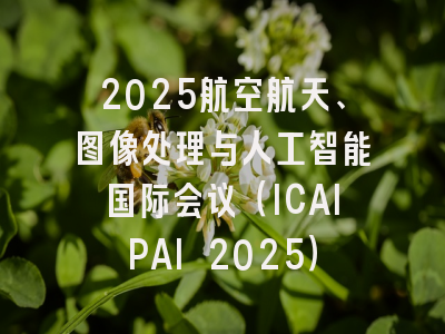 2025航空航天、图像处理与人工智能国际会议（ICAIPAI 2025）