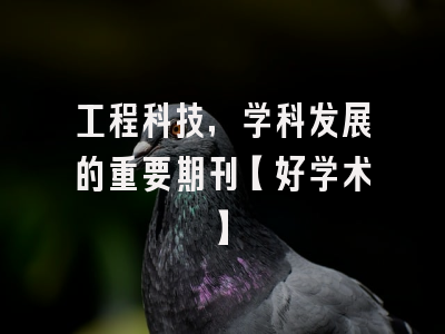 工程科技，学科发展的重要期刊【好学术】