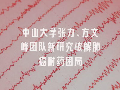 中山大学张力、方文峰团队新研究破解肺癌耐药困局