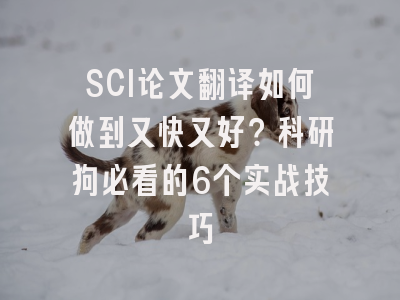 SCI论文翻译如何做到又快又好？科研狗必看的6个实战技巧