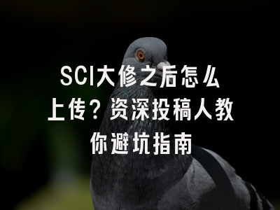 SCI大修之后怎么上传？资深投稿人教你避坑指南