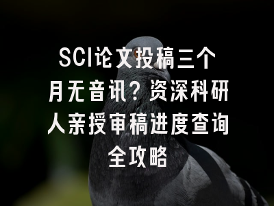 SCI论文投稿三个月无音讯？资深科研人亲授审稿进度查询全攻略
