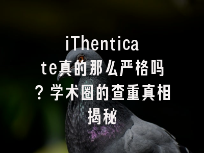 iThenticate真的那么严格吗？学术圈的查重真相揭秘
