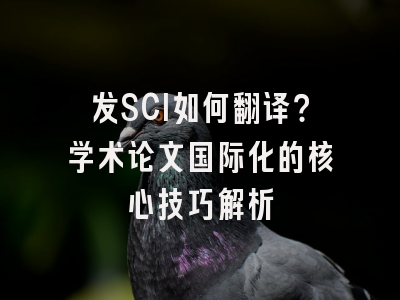 发SCI如何翻译？学术论文国际化的核心技巧解析