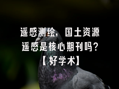 遥感测绘，国土资源遥感是核心期刊吗？【好学术】