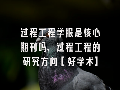 过程工程学报是核心期刊吗，过程工程的研究方向【好学术】