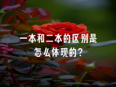 一本和二本的区别是怎么体现的？