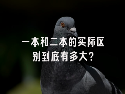 一本和二本的实际区别到底有多大？