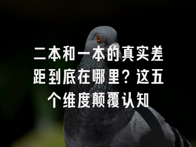 二本和一本的真实差距到底在哪里？这五个维度颠覆认知