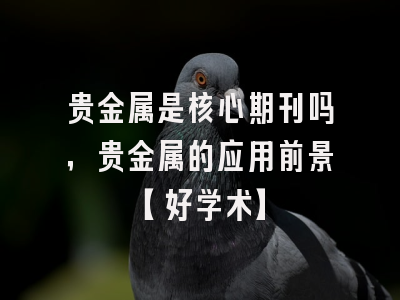 贵金属是核心期刊吗，贵金属的应用前景【好学术】