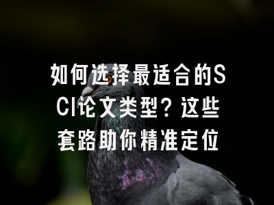 如何选择最适合的SCI论文类型？这些套路助你精准定位
