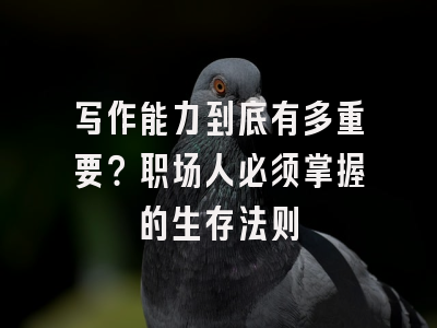 写作能力到底有多重要？职场人必须掌握的生存法则