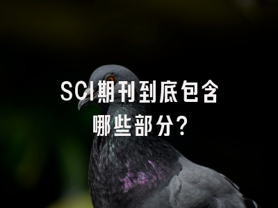 SCI期刊到底包含哪些部分？
