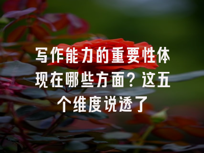 写作能力的重要性体现在哪些方面？这五个维度说透了