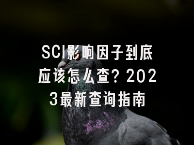 SCI影响因子到底应该怎么查？2023最新查询指南