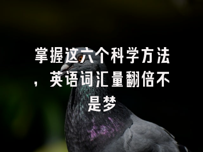 掌握这六个科学方法，英语词汇量翻倍不是梦