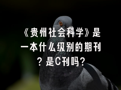 《贵州社会科学》是一本什么级别的期刊？是C刊吗？