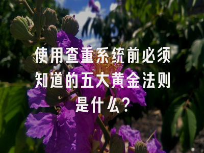 使用查重系统前必须知道的五大黄金法则是什么？