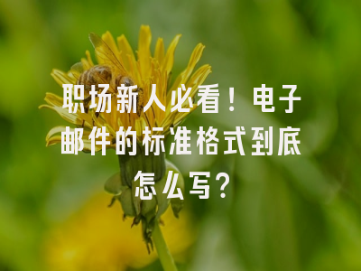 职场新人必看！电子邮件的标准格式到底怎么写？