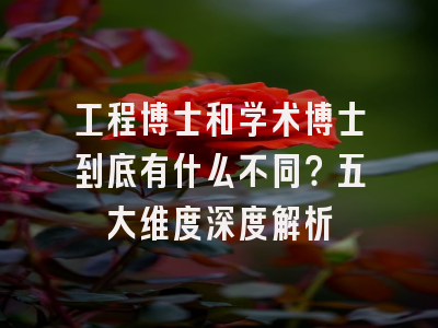 工程博士和学术博士到底有什么不同？五大维度深度解析
