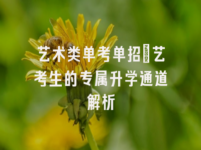艺术类单考单招：艺考生的专属升学通道解析