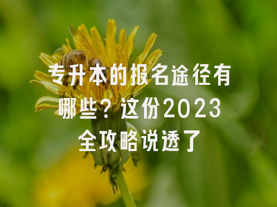 专升本的报名途径有哪些？这份2023全攻略说透了