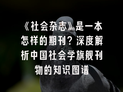 《社会杂志》是一本怎样的期刊？深度解析中国社会学旗舰刊物的知识图谱