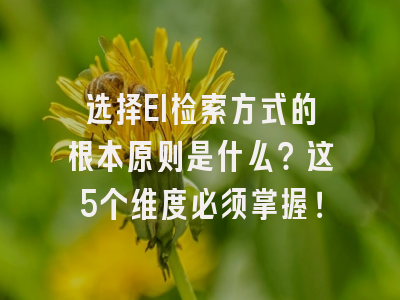 选择EI检索方式的根本原则是什么？这5个维度必须掌握！