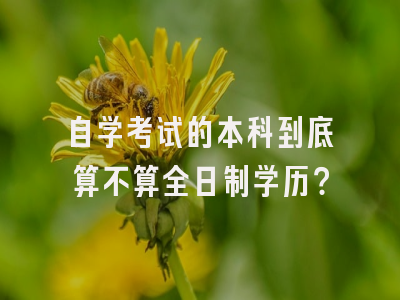 自学考试的本科到底算不算全日制学历？