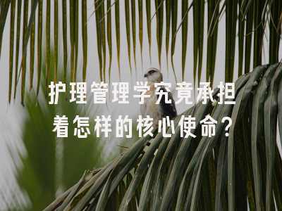 护理管理学究竟承担着怎样的核心使命？