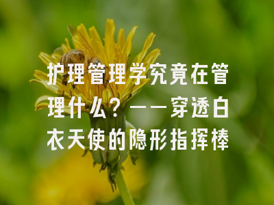 护理管理学究竟在管理什么？——穿透白衣天使的隐形指挥棒