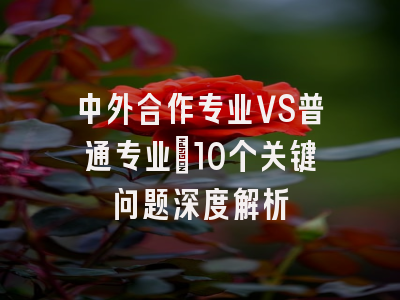 中外合作专业VS普通专业：10个关键问题深度解析