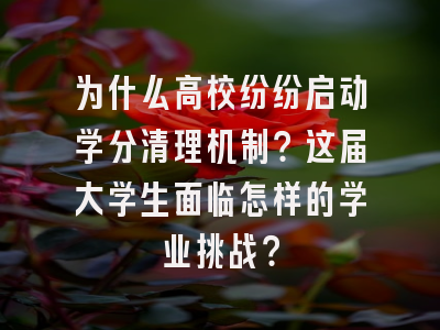 为什么高校纷纷启动学分清理机制？这届大学生面临怎样的学业挑战？