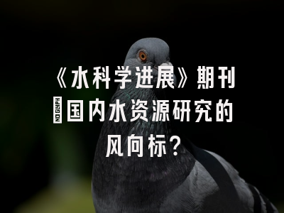 《水科学进展》期刊：国内水资源研究的风向标？
