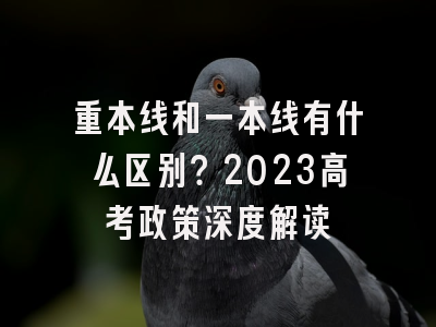 重本线和一本线有什么区别？2023高考政策深度解读