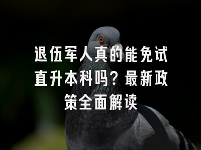 退伍军人真的能免试直升本科吗？最新政策全面解读