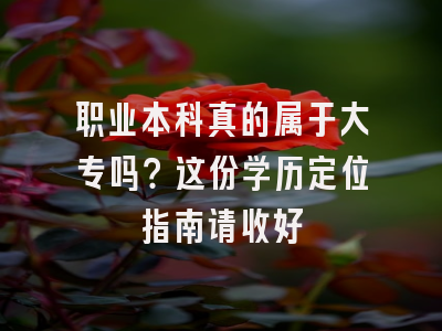 职业本科真的属于大专吗？这份学历定位指南请收好