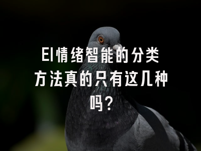 EI情绪智能的分类方法真的只有这几种吗？
