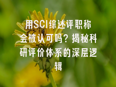 用SCI综述评职称会被认可吗？揭秘科研评价体系的深层逻辑