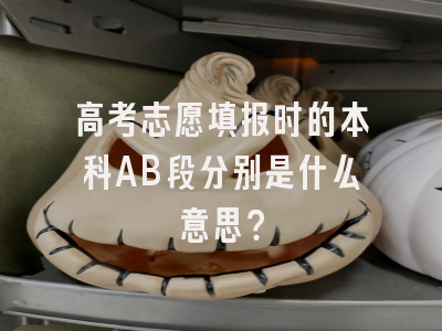 高考志愿填报时的本科AB段分别是什么意思？
