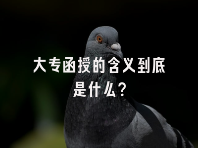 大专函授的含义到底是什么？