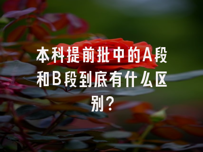 本科提前批中的A段和B段到底有什么区别？