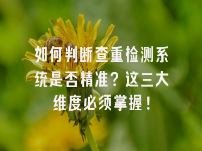 如何判断查重检测系统是否精准？这三大维度必须掌握！