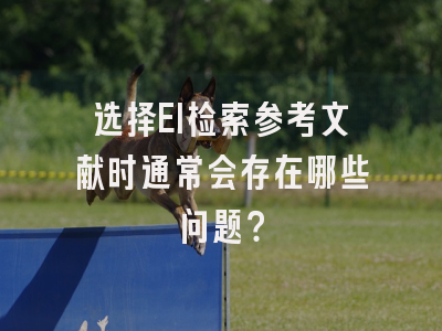 选择EI检索参考文献时通常会存在哪些问题？