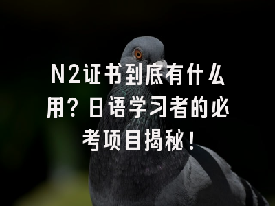 N2证书到底有什么用？日语学习者的必考项目揭秘！