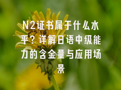 N2证书属于什么水平？详解日语中级能力的含金量与应用场景